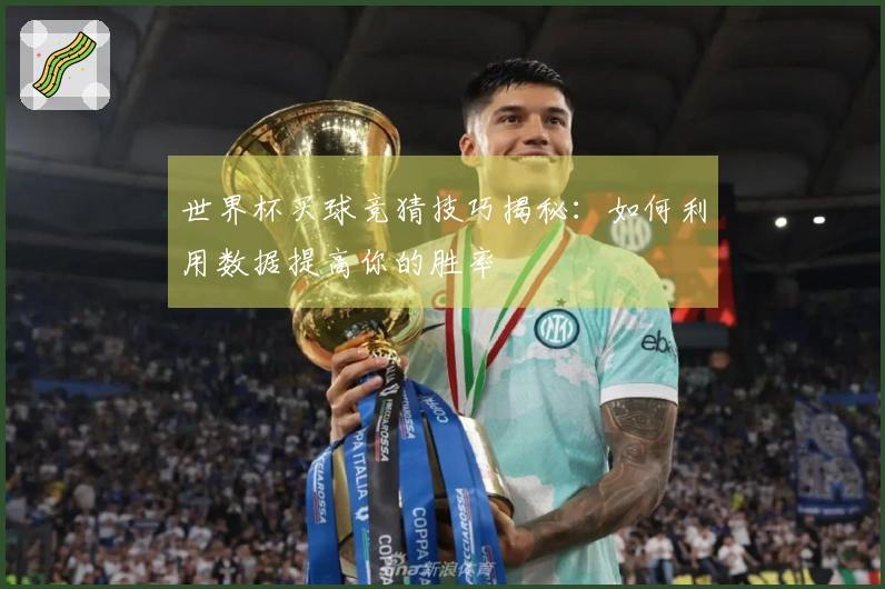 世界杯买球竞猜技巧揭秘：如何利用数据提高你的胜率