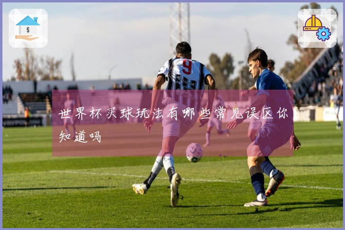 世界杯买球玩法有哪些常见误区你知道吗
