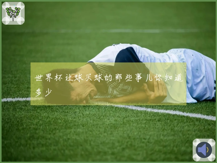 世界杯让球买球的那些事儿你知道多少