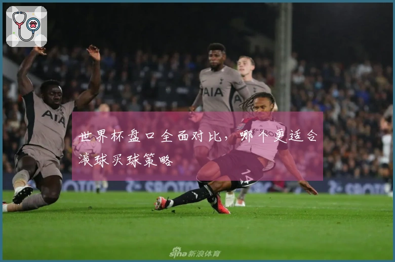 世界杯盘口全面对比，哪个更适合滚球买球策略