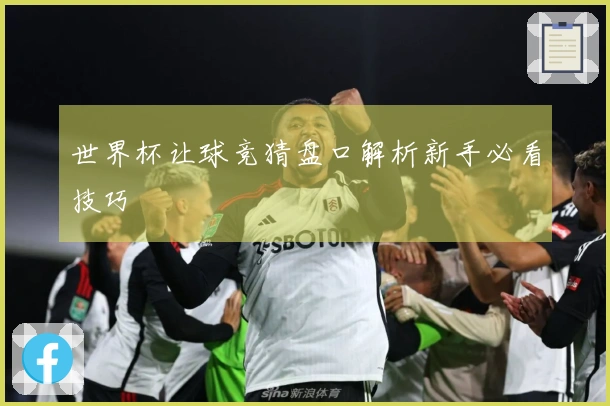 世界杯让球竞猜盘口解析新手必看技巧
