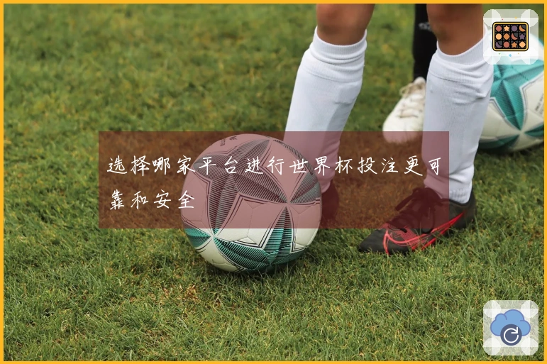 选择哪家平台进行世界杯投注更可靠和安全